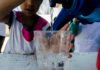 Agua libre de impurezas para escuelas rurales de Neuquén