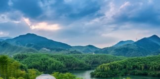 87% de los viajeros quiere viajar de forma ecológica