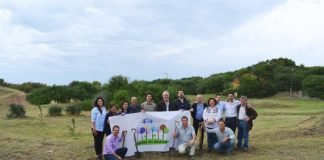 Preservación y reforestación