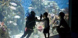 Día Internacional de los Océanos