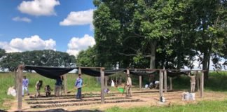 Generación de trabajo y mejoras de empleo