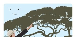 Toyota publicó su nuevo reporte de sustentabilidad