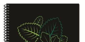 Cuadernos sustentables