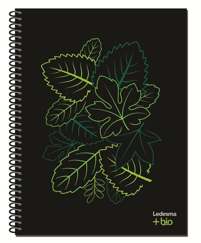 Cuadernos sustentables - Visión Sustentable