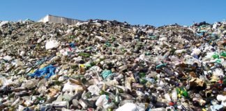 Cayó el amparo que impedía la incineración de residuos en CABA