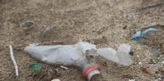 Más del 80% de los residuos en las playas bonaerenses son plásticos