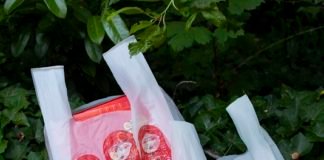 Chocolates en bolsas compostables