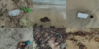 Los sonidos del plástico