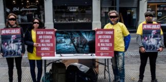 Protestas por políticas contra el maltrato animal