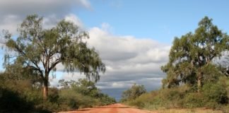 Herramienta online para la expansión sostenible del cultivo de soja