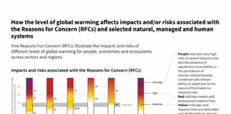 Descarbonizar la economía