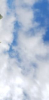 Reducción del uso de plásticos en producción y distribución