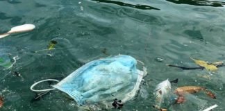 ¿La pandemia como solución a la crisis climática? #NOT