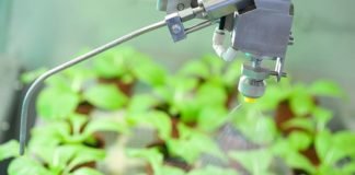 Soluciones para respaldar el futuro de las proteínas