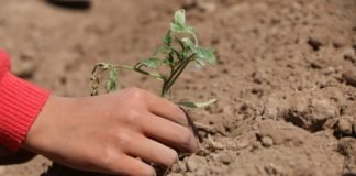 Nespresso resalta su compromiso con Fundación Huerta Niño