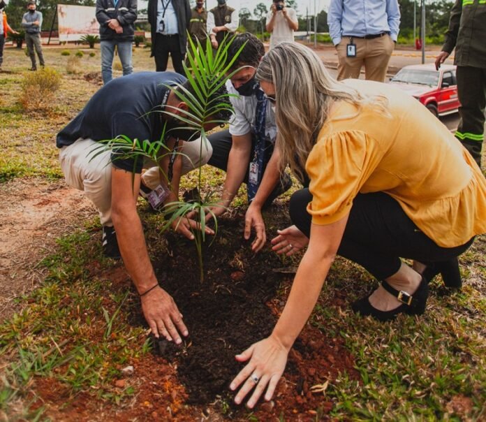 reforestación AA2000