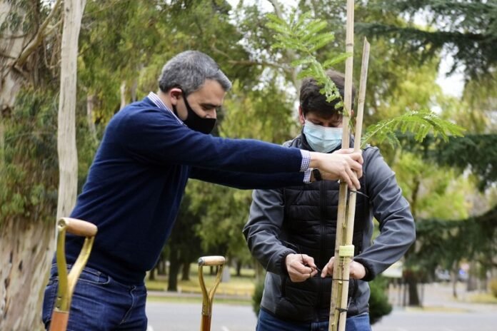 camuzzi forestación