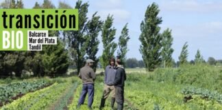 Transición BIO: fortalecimiento de productores agropecuarios Transición BIO