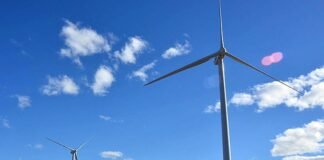 Santander y San Miguel lideran la primera Obligación Negociable vinculada a la sustentabilidad de Argentina obligación nwgociable sustentabilidad