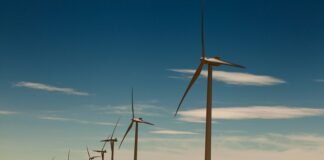 Genneia publicó su primer Reporte de Sustentabilidad