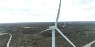 Ya está en marcha Cañadón León, el tercer parque eólico de YPF Luz Cañadon León - YPF Luz