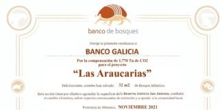 Ronda de Inversión de impacto para reactivar 7 empresas socioambientales inversion de impacto