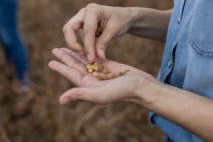 Cargill sostenibilidad cargill