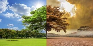 cambio climatico