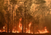 incendios Delta