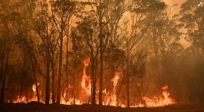 incendios Delta