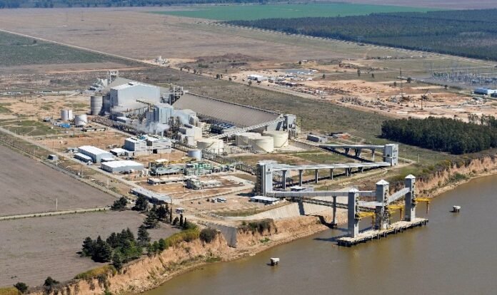 viterra energia renovable