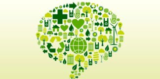 Comunicar la sustentabilidad: claves para no caer en el escepticismo