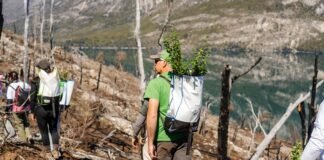 John Deere avanza en su objetivo de una América Latina más verde