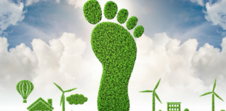 Nace la primera Bolsa Argentina para el Mercado de Carbono