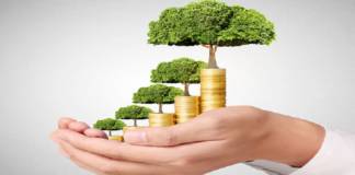 La bodega Los Haroldos emitió deuda por $325 millones para financiar proyectos sostenibles bonos verdes