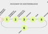 Roadmap de sostenibilidad: el camino para diseñar un plan con impacto positivo