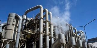 Argentina avanza con los primeros envíos de harina de soja sostenible hacia Europa