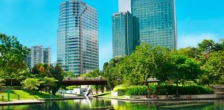 Las ciudades albergarán el 70% de la población mundial hacia 2050 y serán clave para enfrentar el cambio climático