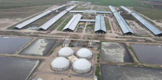 Adecoagro inaugura su segundo biodigestor para la producción de energía eléctrica