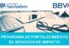 Programa de Fortalecimiento de Negocios de Impacto para PyMes y emprendedores