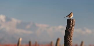 Apoyo económico a bodegas en su transición a la sostenibilidad