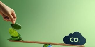 BYMA compensó la totalidad de su huella de carbono corporativa