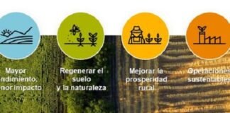 Syngenta anuncia sus nuevas Prioridades de Sustentabilidad