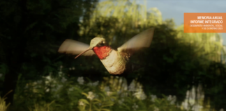 Grupo Galicia revela su Estrategia Sustentable en el Informe 2023 Reporte Integrado Galicia 2023