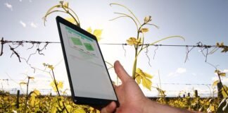 Kilimo obtiene u$7.5M de Emerald para invertir en conservación de agua