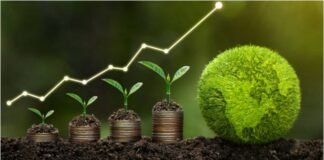 BBVA y Cementos Avellaneda formalizan un financiamiento sostenible a largo plazo