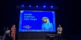 Sostenibilidad: una habilidad clave para los empleos del futuro