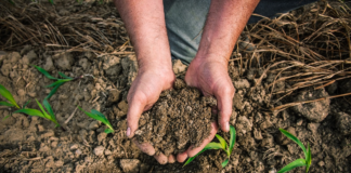 El Agro se suma a la Mesa Argentina de Carbono Mesa-argentina-de-carbono