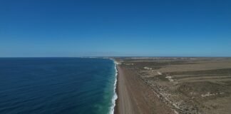 Genneia se asocia con Satellites On Fire para proteger la biodiversidad refugio-La-Esperanza