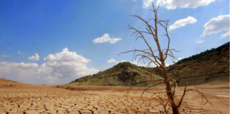 Riesgos Climáticos para trigo, maíz, cobre y litio hacia 2050